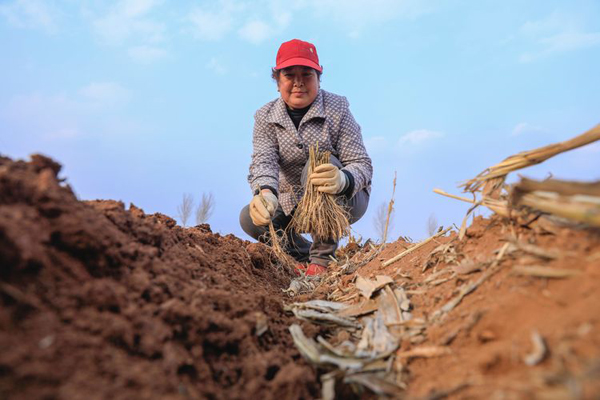 山西省长治市屯留县西贾乡最新新闻动态