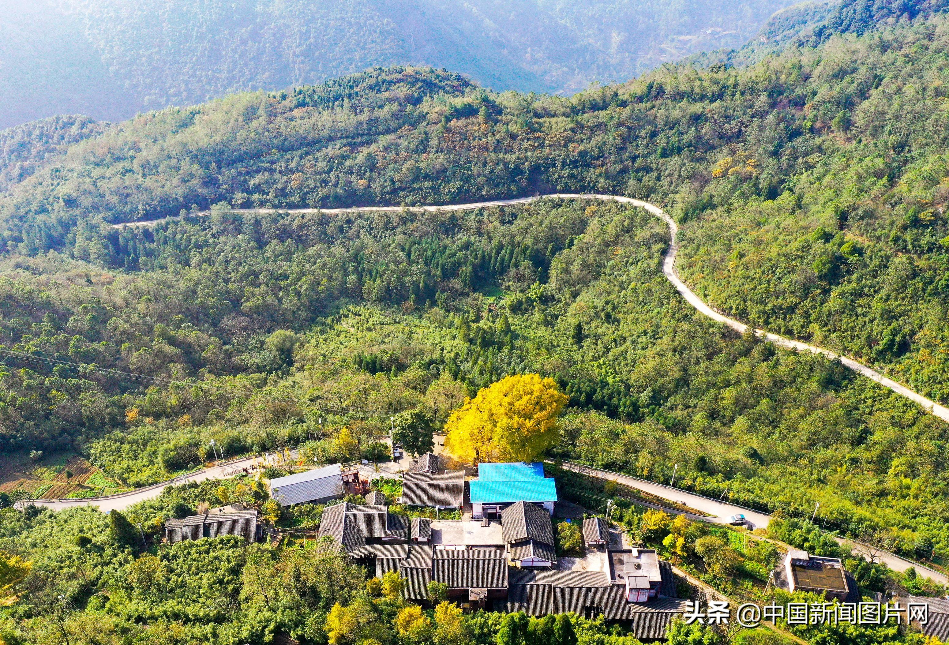 红岩乡新项目启动，引领乡村发展新篇章