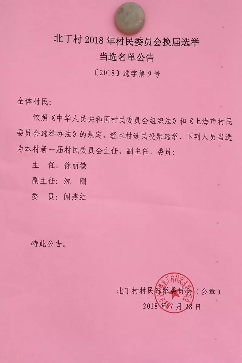 西社村委会人事任命重塑乡村治理格局，未来展望与行动指南