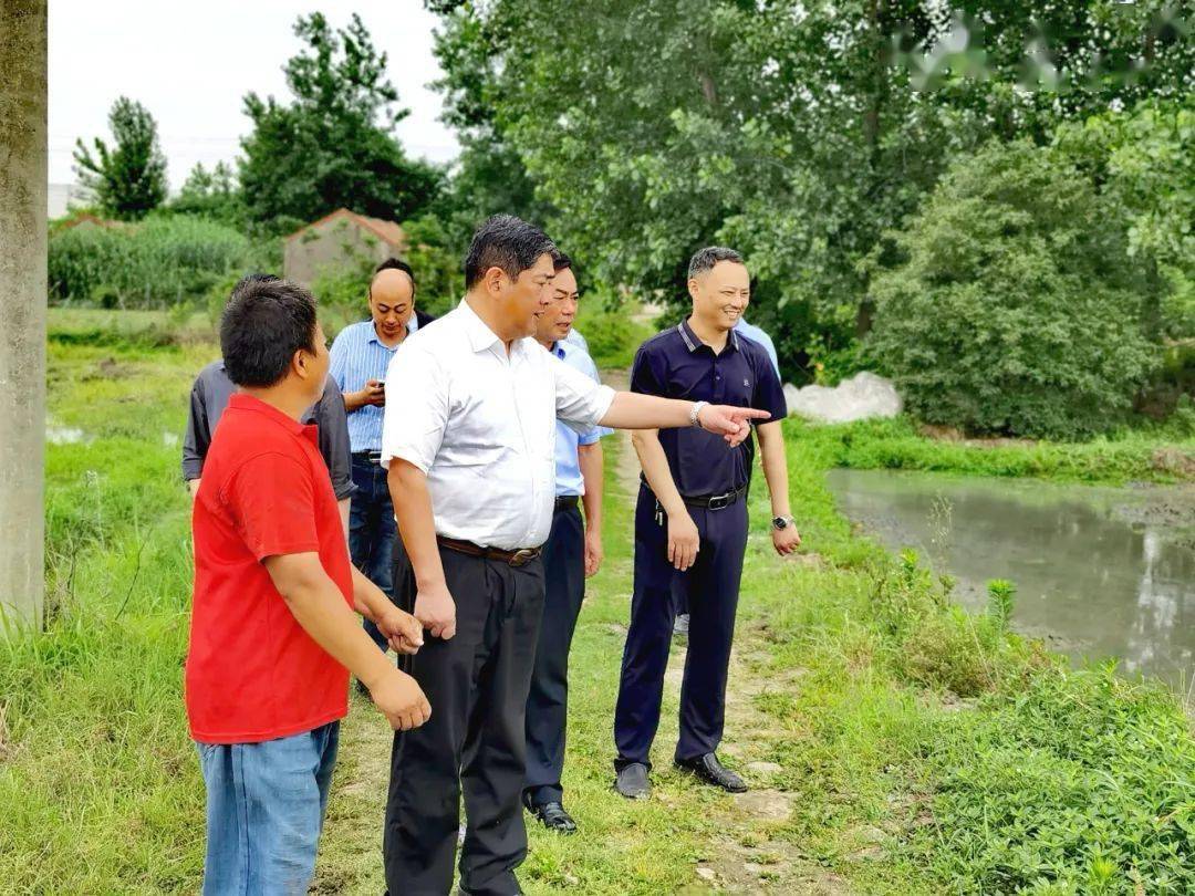 长丰县农业农村局最新动态报道