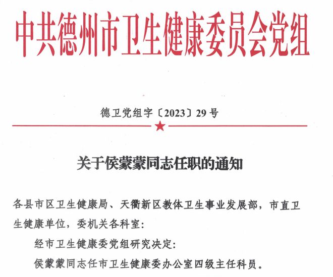 松岭区数据和政务服务局人事任命启动，政务数字化转型迈入新篇章