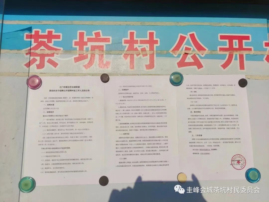 马家山茶场村委会最新招聘信息及职业机遇探索