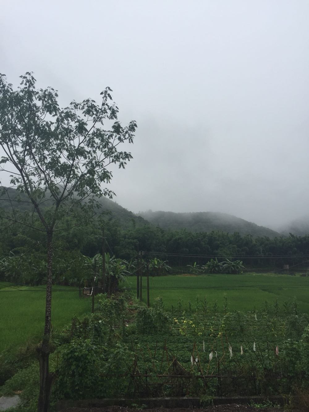 雨佰村民委员会天气预报更新通知