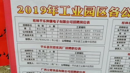 平乐县统计局招聘新人才概况