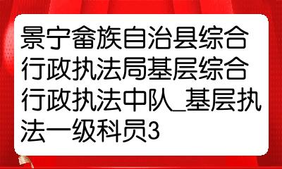 景宁畲族自治县司法局招聘启事