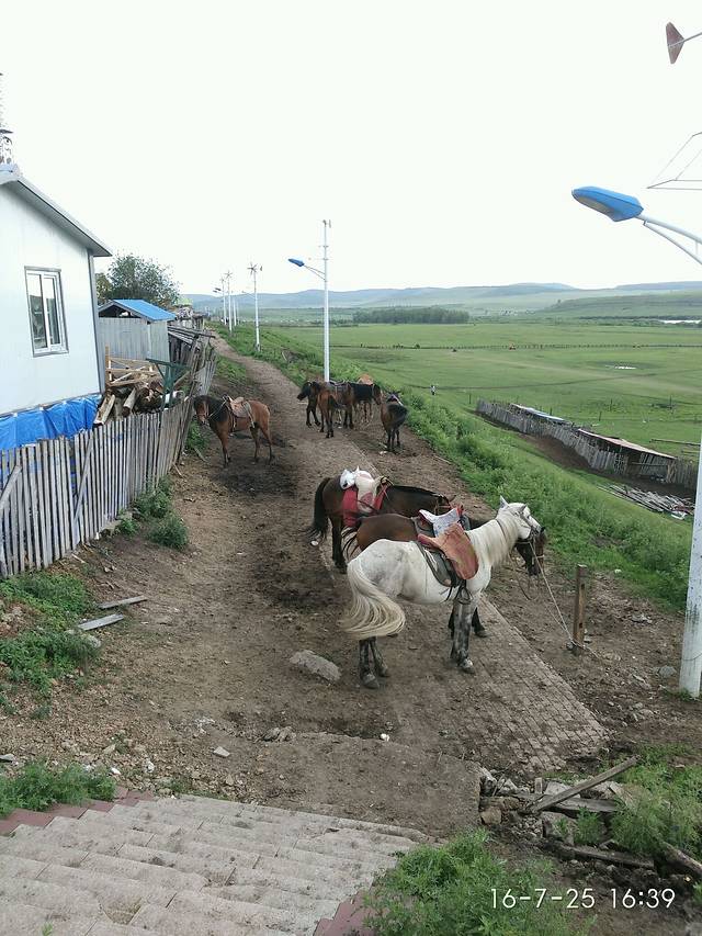 扎兰屯马场最新项目，探索之旅与期待的目光