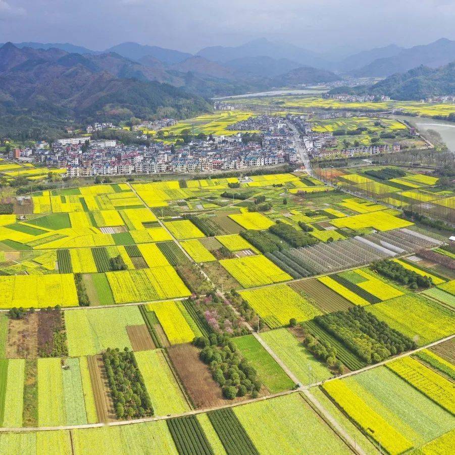 常山县农业农村局最新发展规划概览