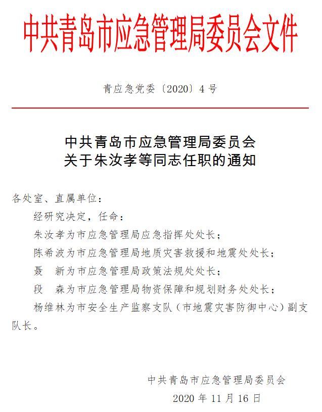 亭湖区应急管理局人事任命，构建应急管理体系的关键步骤