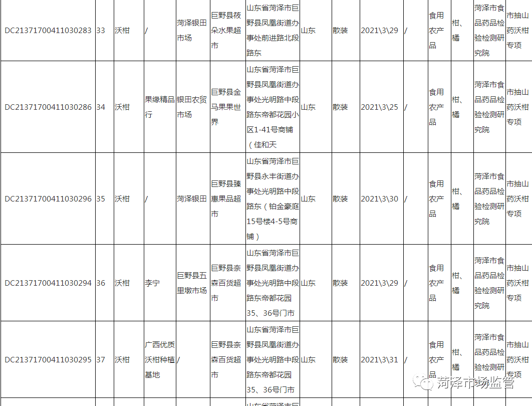 喀什市体育馆最新招聘启事概览